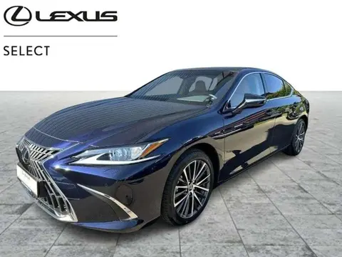 Annonce LEXUS ES Hybride 2024 d'occasion 