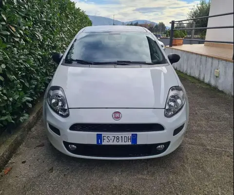 Annonce FIAT PUNTO Diesel 2018 d'occasion 