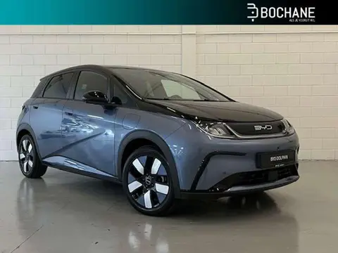 Annonce BYD DOLPHIN Électrique 2024 d'occasion 