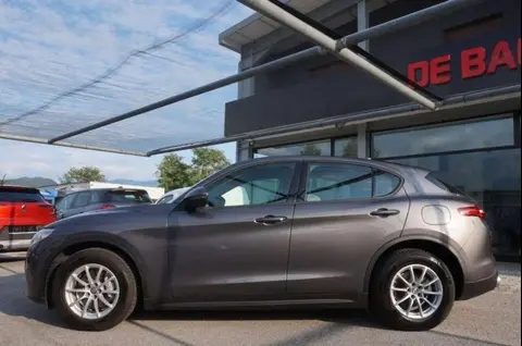 Annonce ALFA ROMEO STELVIO Diesel 2019 d'occasion 