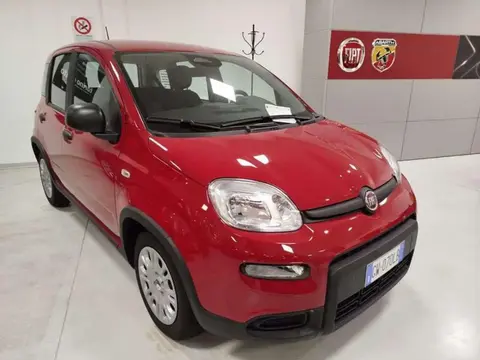 Annonce FIAT PANDA Hybride 2024 d'occasion 