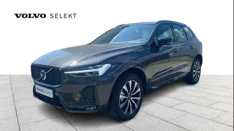 Annonce VOLVO XC60 Diesel 2023 d'occasion Belgique