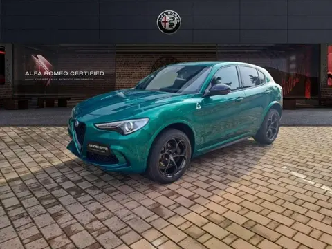 Used ALFA ROMEO STELVIO Petrol 2022 Ad 