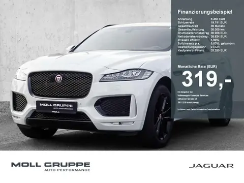 Used JAGUAR F-PACE Diesel 2020 Ad 