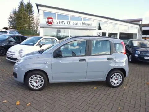 Used FIAT PANDA Petrol 2020 Ad 