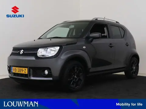 Used SUZUKI IGNIS Petrol 2017 Ad 