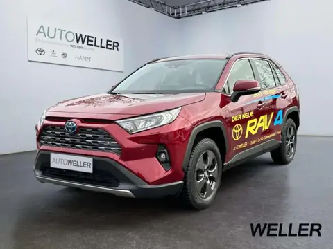 Used TOYOTA RAV4 Hybrid 2024 Ad Germany