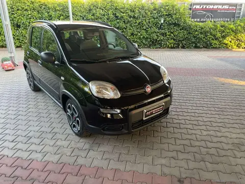 Used FIAT PANDA Hybrid 2021 Ad 