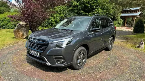 Annonce SUBARU FORESTER Hybride 2024 d'occasion 