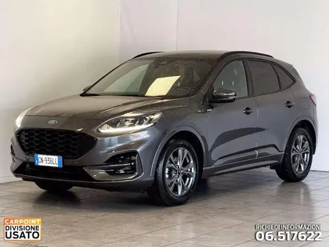 Used FORD KUGA Diesel 2023 Ad 