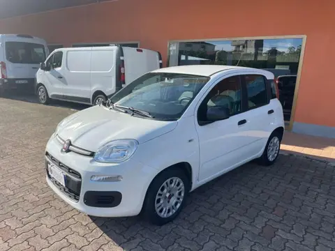 Annonce FIAT PANDA Hybride 2022 d'occasion 