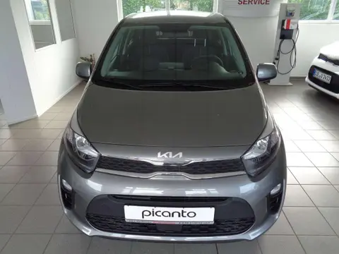 Annonce KIA PICANTO Essence 2024 d'occasion 