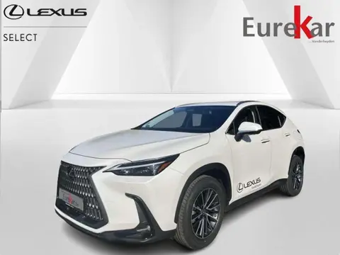 Annonce LEXUS NX Hybride 2022 d'occasion 