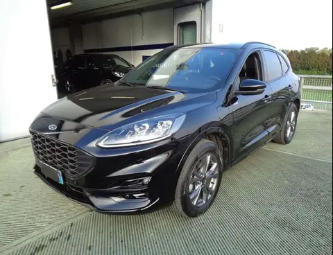 Used FORD KUGA Hybrid 2023 Ad 