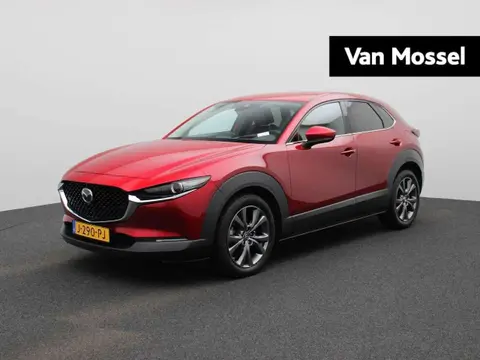 Used MAZDA CX-30 Hybrid 2020 Ad 