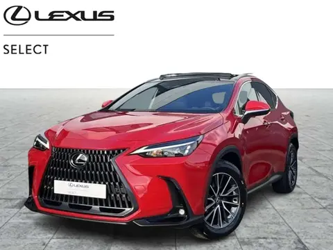 Annonce LEXUS NX Hybride 2024 d'occasion 