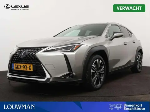 Used LEXUS UX Hybrid 2019 Ad 