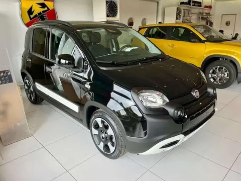 Used FIAT PANDA Hybrid 2024 Ad 