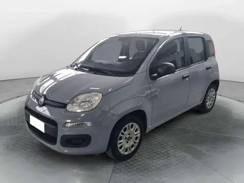 Used FIAT PANDA Diesel 2018 Ad 