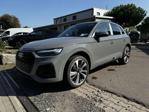 Used AUDI Q5 Diesel 2024 Ad 