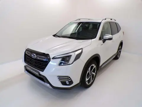 Used SUBARU FORESTER Hybrid 2023 Ad 