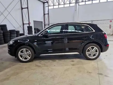 Used AUDI Q5 Diesel 2018 Ad 