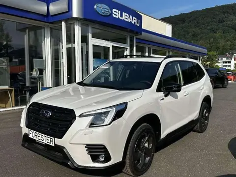 Used SUBARU FORESTER Petrol 2024 Ad 