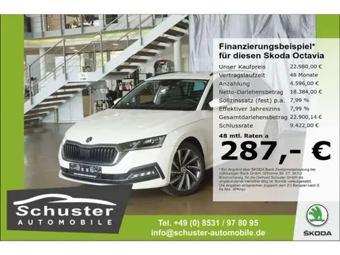 Used SKODA OCTAVIA Diesel 2021 Ad 