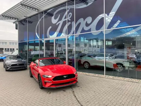 Annonce FORD MUSTANG Essence 2024 d'occasion 