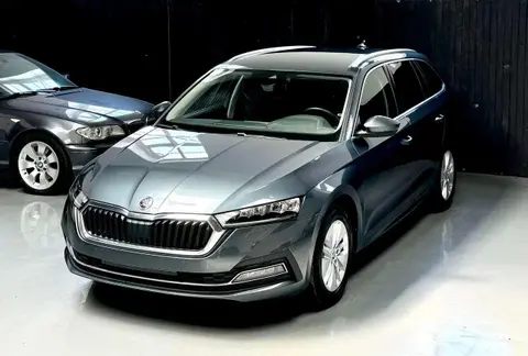 Annonce SKODA OCTAVIA Essence 2021 d'occasion 