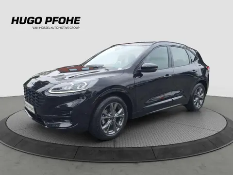 Used FORD KUGA Diesel 2023 Ad 