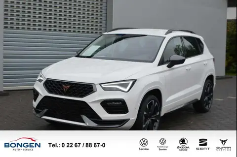 Annonce CUPRA ATECA Essence 2024 d'occasion 