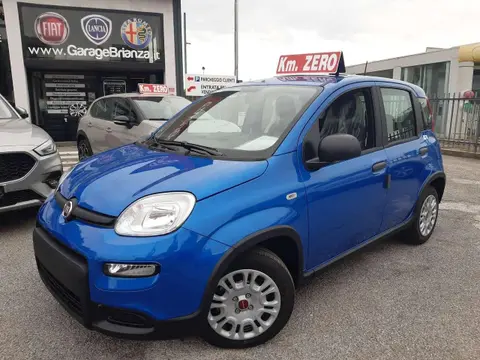 Used FIAT PANDA Hybrid 2024 Ad 