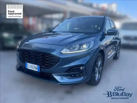 Used FORD KUGA Diesel 2021 Ad 