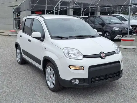 Used FIAT PANDA LPG 2023 Ad 