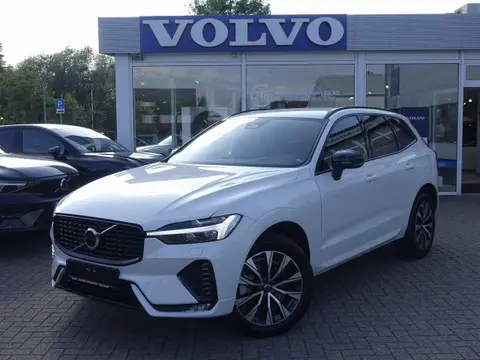 Used VOLVO XC60 Diesel 2023 Ad 