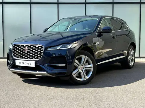 Annonce JAGUAR F-PACE Hybride 2023 d'occasion 