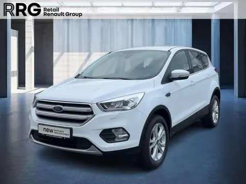 Used FORD KUGA Petrol 2019 Ad 