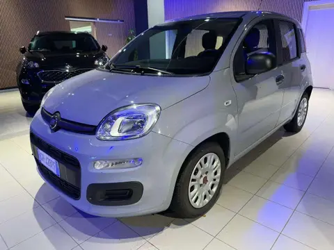 Annonce FIAT PANDA Hybride 2023 d'occasion 