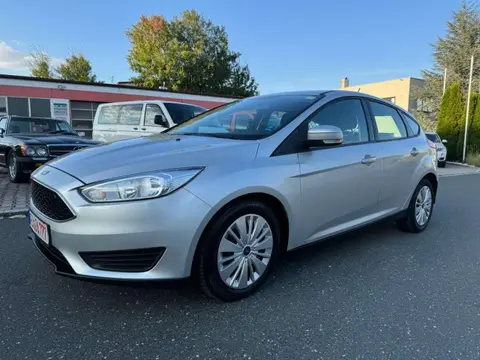 Used FORD FOCUS Diesel 2017 Ad Germany