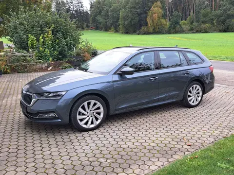 Annonce SKODA OCTAVIA Diesel 2020 d'occasion 