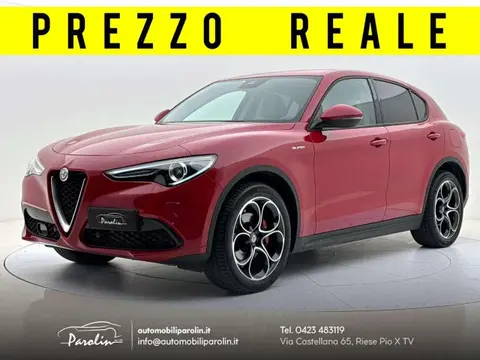 Used ALFA ROMEO STELVIO Petrol 2021 Ad 