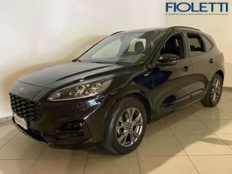 Used FORD KUGA  2020 Ad 