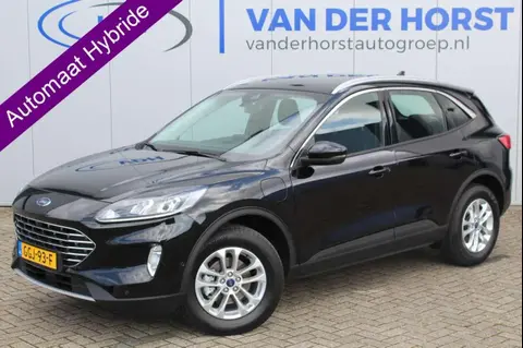 Annonce FORD KUGA Hybride 2023 d'occasion 