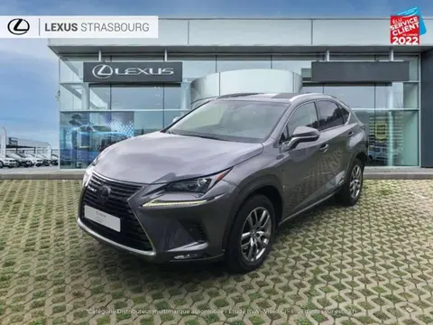 Used LEXUS NX  2020 Ad 