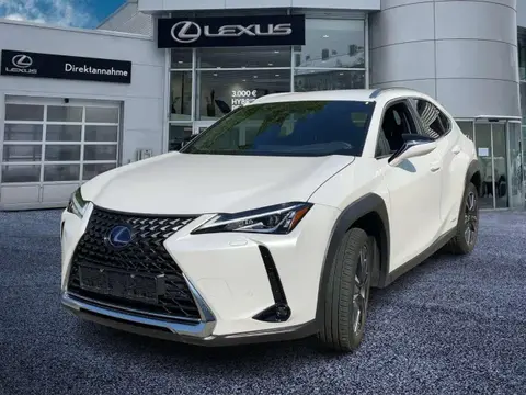 Annonce LEXUS UX Hybride 2021 d'occasion 