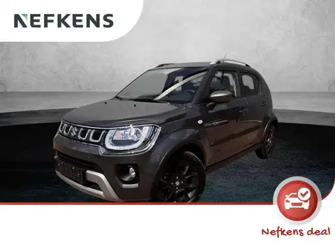 Used SUZUKI IGNIS Hybrid 2022 Ad 