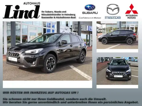 Annonce SUBARU XV Essence 2024 d'occasion 