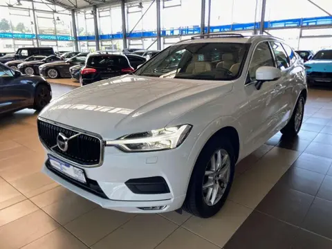 Used VOLVO XC60 Diesel 2020 Ad 