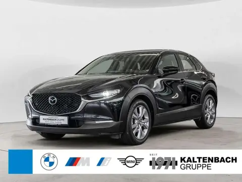 Used MAZDA CX-30 Petrol 2021 Ad 